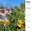 신례2리마을회관 이미지