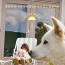 허* - 안양시 동안구 경수대로 430 | 허*