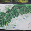 산수유 둘레길 이미지