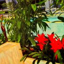 천년의 하루 이미지