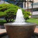대구광역시동구청 이미지