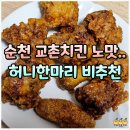 허니치킨 | 순천 교촌치킨 허니한마리 내돈내산 비추 후기