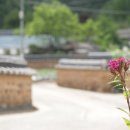 산마실 이미지