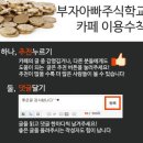 차라리 변액보험 파는 회사의 주식을 사자! 이미지