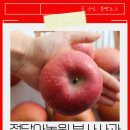 청산농원 | 부사사과 추천 | 정담아농원 햇사과 상위 1% 과일선물세트 (맛없으면 환불, 실중량)