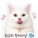 덕성 | [서울/동대문] 허영만 백반기행에 나온 동대문 노포 중식 맛집🍜 덕성각 고추짜장🌶 - 내돈내산 후기