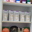 멍아지트 이미지