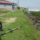 선운 농장 이미지