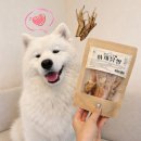 복실강아지 | 강아지 수제간식 추천 치석제거까지! 복실방앗간 야채품은 무뼈닭발 후기