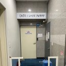 아이러브퍼피 청주점 | [청주강아지호텔] 아이러브퍼피 청주점 (동남지구)