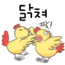 매드후라이치킨 이미지