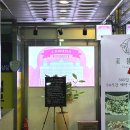 수정이네집밥 이미지