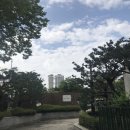 (주)캠프통포레스트 이미지