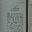 멜로우네이쳐