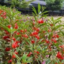 태허정로 이미지