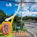 성안 벽화마을 시화 이미지