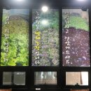 천미농장 네이버블로그