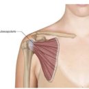 헤이데이짐 이미지