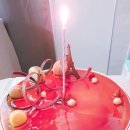 웃개살롱 이미지