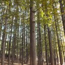 늘솔길근린공원양떼목장 이미지