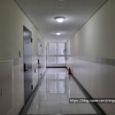 나성동_국세청앞BRT 이미지