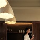 스테이 시래 이미지