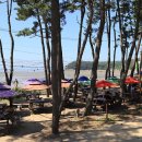 솔바다캠핑장 이미지