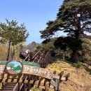 천년송가는길 이미지