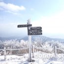 바람의화원 이미지