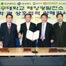 성산태양광발전소 이미지