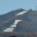 첫눈에평창 이미지