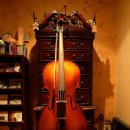 천일 소프트 이미지