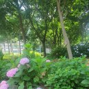 벌막공원 이미지