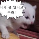 건은 | 너무 착한데 전시 틀린 건 아닌데 전시 비추 후기..