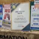 세종조은내과의원 이미지