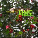 싱여동럭셔리여행사 Daum카페