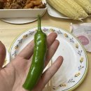 달팽이하우스 이미지