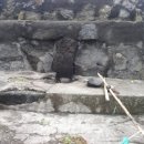 동일리-6 이미지