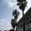 늘봄식당 이미지