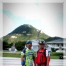 산성애견 이미지