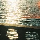 조례신대앞길 이미지