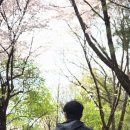 서울숲 주차장 화장실 네이버블로그