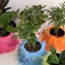 부뚜막생삼겹 이미지