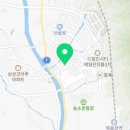 샌드블라썸 이미지