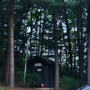 GS25 영월별마로 | 영월 별마로천문대 운해 보는법,주차,화장실 팁