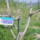 다희농장 이미지