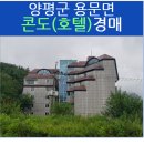 용문산콘도렉스 네이버블로그