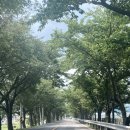 시골손칼국수
