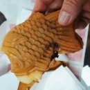 아이스533 이미지