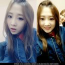 하시 이미지